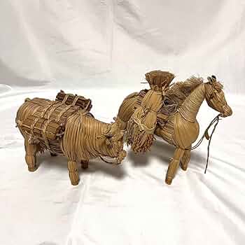 71bH+5qYObL._AC_UF350,